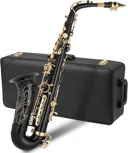 GODECOR E Flat Brass Alto Saxophone With Accessories