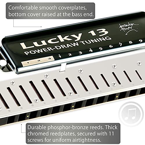 East top Bass Plus Blues Harmonica 13 Holes - Image 3