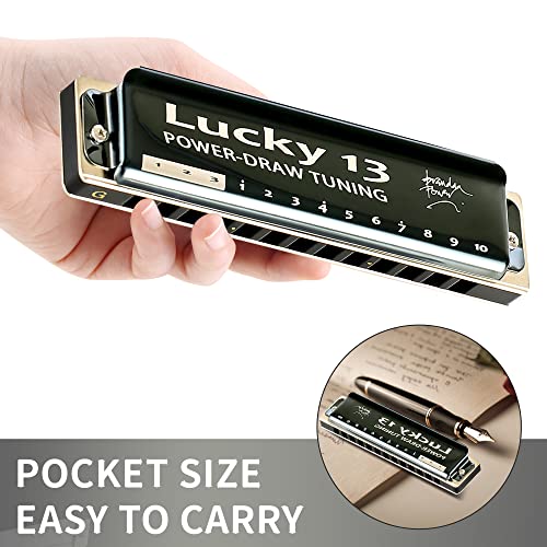 East top Bass Plus Blues Harmonica 13 Holes - Image 5