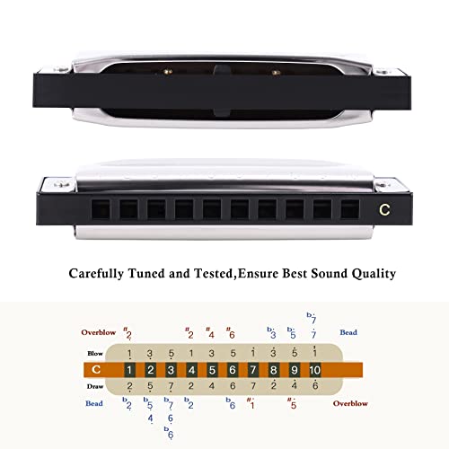 East top Harmonica Key Of C, 10 Holes Diatonic - Image 4