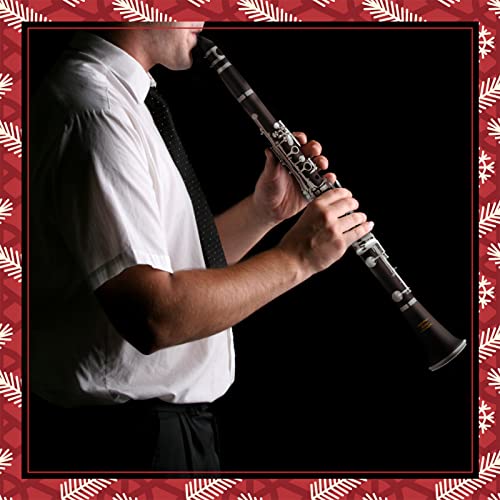 Eastar B Flat Clarinet Nickel-Plated ECL-300 - Image 2