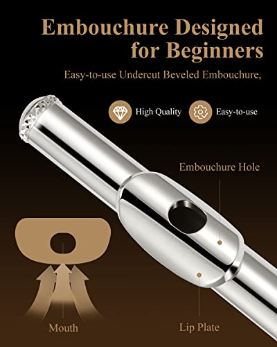 Eastar Open Hole 16 Keys Beginner Flute EFL-2 - Image 2