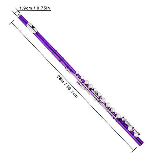 EASTROCK Closed Hole Flute C 16 Key Purple - Image 4