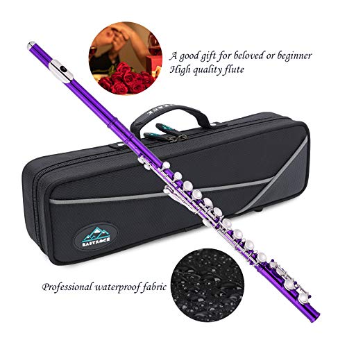 EASTROCK Closed Hole Flute C 16 Key Purple - Image 5