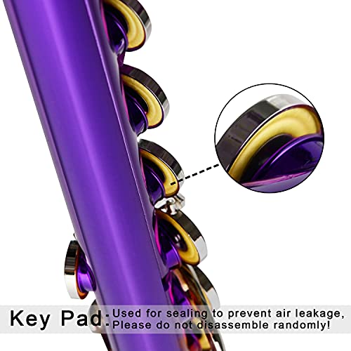 EASTROCK Closed Hole Flute C 16 Key Purple - Image 2