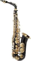 Btuty Eb Alto Saxophone Brass Lacquered 82Z