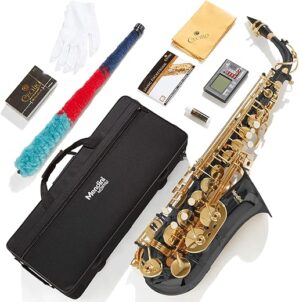 Mendini by Cecilio Eb Alto Saxophone With Accessories - Black & Gold
