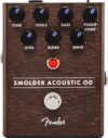 Fender Electric Guitar Electronics, 1/4-Inch (0234550000)