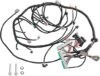 RADHLBNIU Engine Wiring Harness For LS Engines