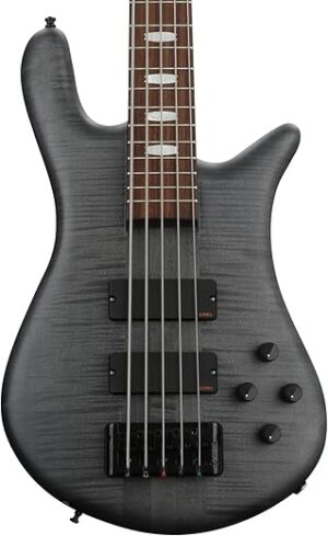 Spector Euro5LX Bass Guitar (Matte Black Stain)