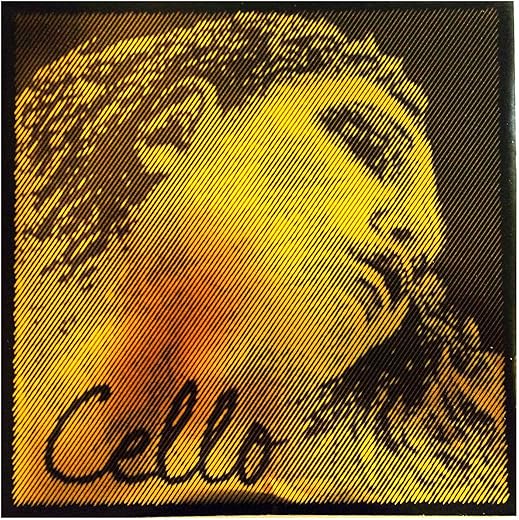 Pirastro Evah Pirazzi Gold Cello C String