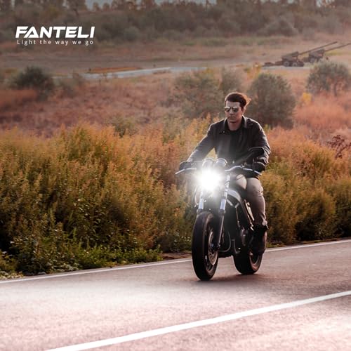 FANTELI LED Bulb Hi/Low Beam Motorcycle, 9003 - Image 5