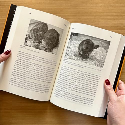 Father Nature: The Science of Paternal Potential - Image 3