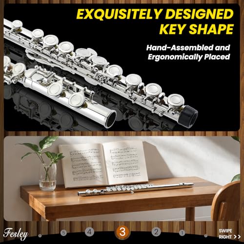 Fesley Closed Hole 16 Keys Student Flute - Image 4