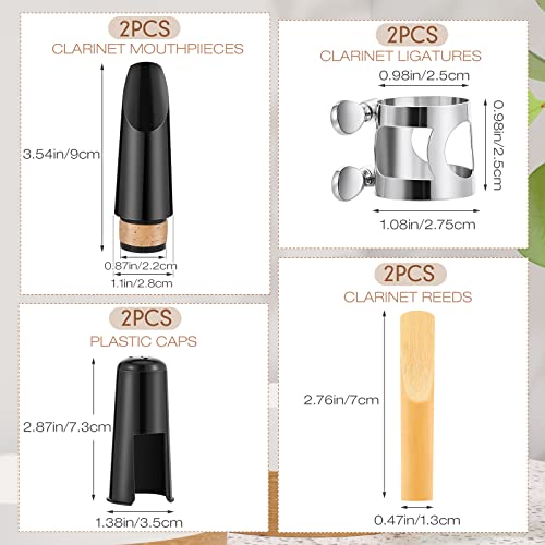 Fiada Clarinet Mouthpiece Kit With Reeds 2.5 - Image 2