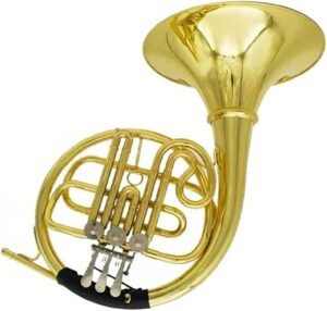 TSTS French Horn B Flat Single Instrument