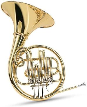 TSTS French Horn Lacquered Gold Instrument Bb