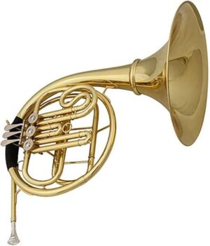 VBDEFRT French Horn Professional Three-Key Instrument