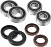 JAVIK Front Wheel Hub Bearings & Seals Kit Compatible With Suzuki Quad Models