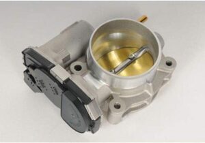 GM Parts Fuel Injection Throttle Body 217-3106