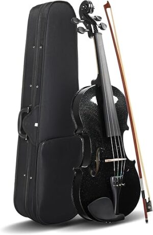 Ktaxon Full Size Acoustic Violin Kit