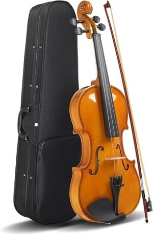 Ktaxon Full Size Acoustic Violin With Accessories