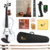 Poseidon Full Size Beginner Violin Set 4/4