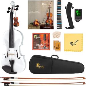 Poseidon Full Size Beginner Violin Set 4/4