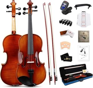 Aileen Full Size Violin Set With Accessories