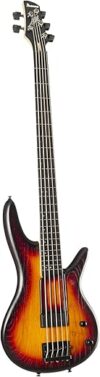 Ibanez Gary Willis Signature GWB205 Fretless Bass