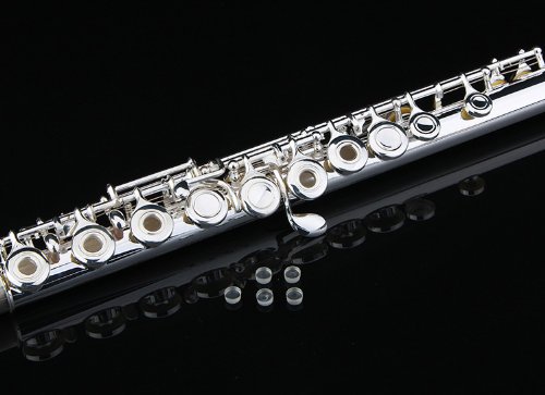 GLORY Silver Plated Intermediate C Flute Set - Image 3