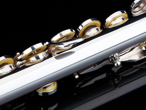 GLORY Silver Plated Intermediate C Flute Set - Image 4