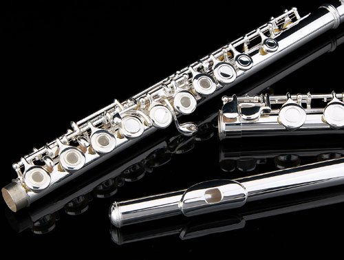 GLORY Silver Plated Intermediate C Flute Set - Image 5