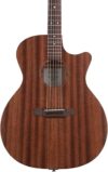 MARTIN GPC-10E Road Series Acoustic-electric Guitar