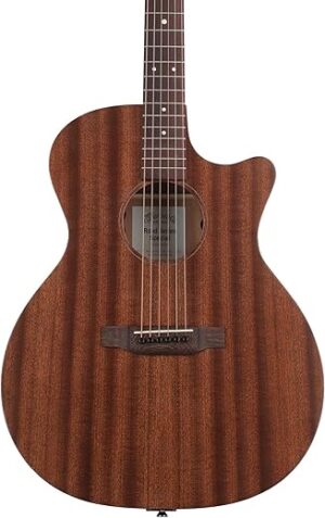 MARTIN GPC-10E Road Series Acoustic-electric Guitar