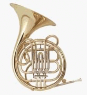 Holton H602 Single French Horn (Key of F)