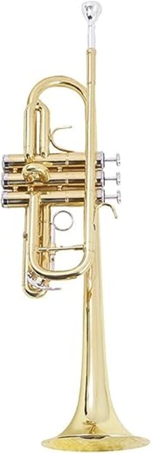 ZYZYZY High-pitched C Trumpet for Beginners