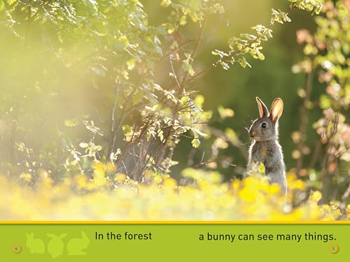 Hop, Bunny! (National Geographic Kids Readers, Pre-Reader) - Image 2