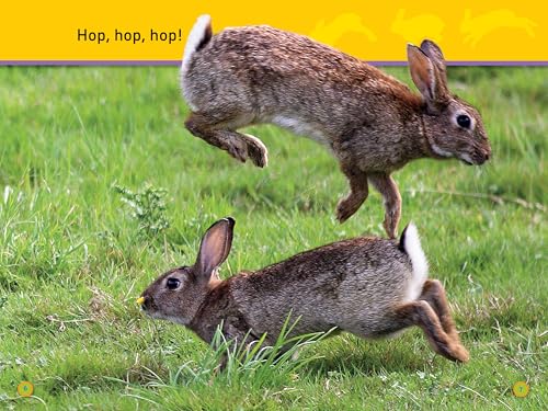 Hop, Bunny! (National Geographic Kids Readers, Pre-Reader) - Image 3