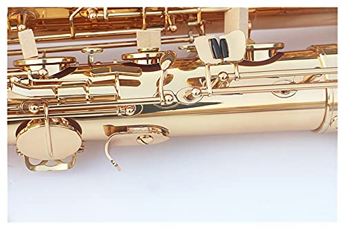 HUAZHIMEI E Flat Baritone Student Saxophone - Image 3