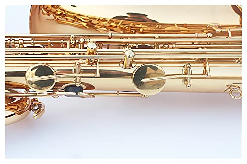 HUAZHIMEI E Flat Baritone Student Saxophone - Image 4