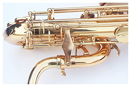 HUAZHIMEI E Flat Baritone Student Saxophone - Image 5