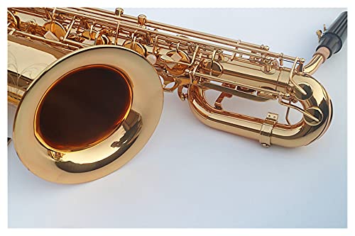 HUAZHIMEI E Flat Baritone Student Saxophone - Image 2
