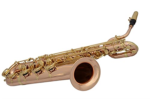 HUAZHIMEI Professional Baritone E Flat Saxophone Set - Image 2