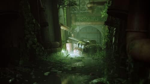 Stray - Image 3
