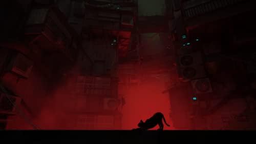 Stray - Image 4