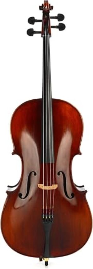 Eastman Intermediate 3/4 Size Cello VC305