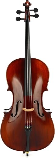 Eastman Intermediate 3/4 Size Cello VC305