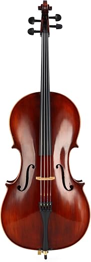 Eastman Intermediate Cello VC305 - 1/2 Size