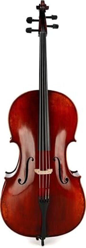Eastman Ivan Dunov Intermediate Cello – 4/4 Size